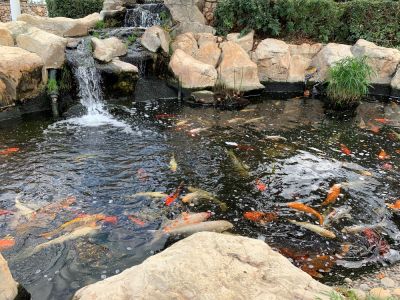 Ensure That Your Waterfall Functions Properly!
